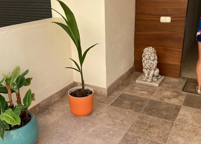 公寓 Monteros Hill Club 马尔韦利亚